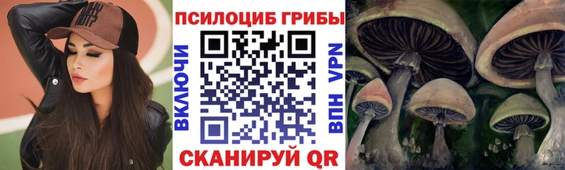 Галлюциногенные грибы мухоморы  Купить  Подольск 